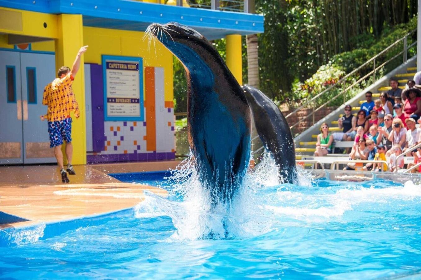 Superb House By Seaworld, Private Pool & Gameroom San Antonio Exterior foto